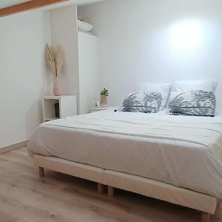 Loft En Centre Ville Perpignan Exteriér fotografie